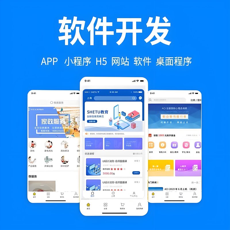 软件开发公司:推动技术创新的“建筑师”